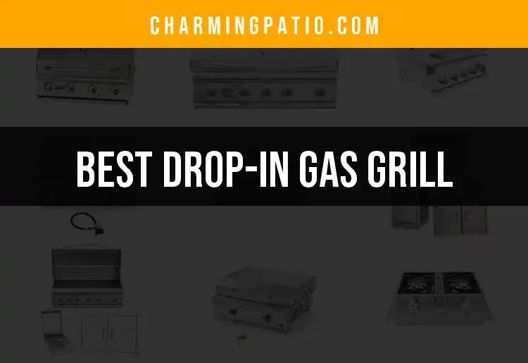 11 Must-Have Drop-In Gas Grills for Your Outdoor Oasis