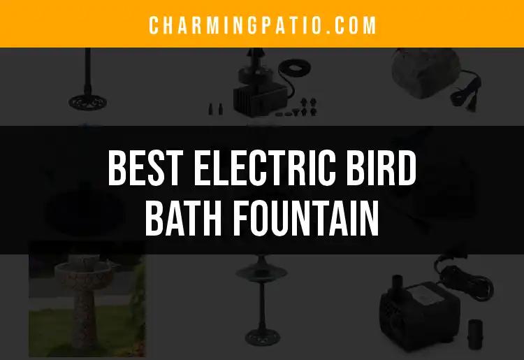 12 Best Electric Bird Bath Fountains for Your Garden