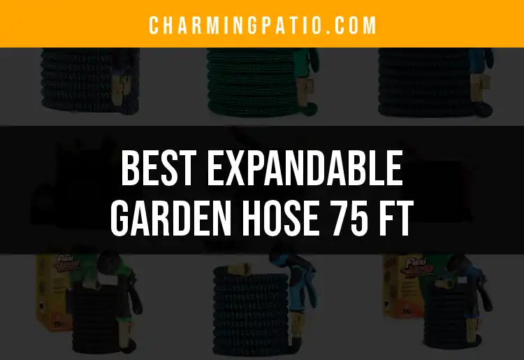 13 Best Expandable Garden Hoses 75 Ft for Every Gardener