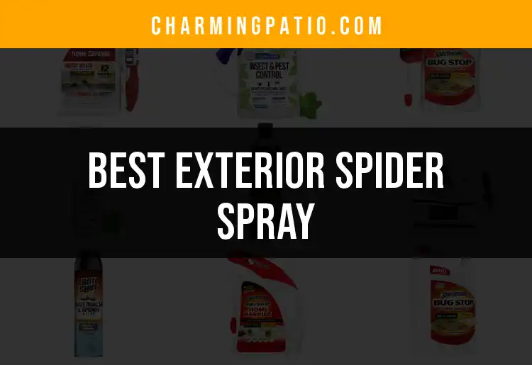 18 Best Exterior Spider Sprays to Keep Your Home Safe
