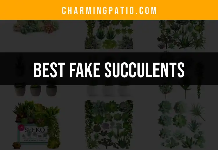 13 Best Fake Succulents for Effortless Greenery