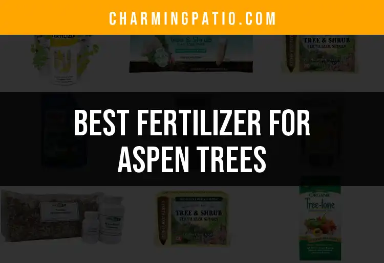 13 Best Fertilizers for Aspen Trees: Quick Picks for Growth
