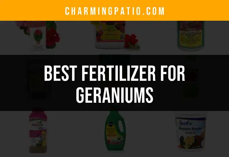 18 Best Fertilizers for Vibrant Geraniums featured
