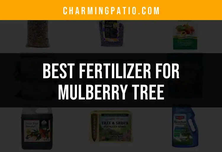 17 Best Fertilizer Options For Your Mulberry Tree