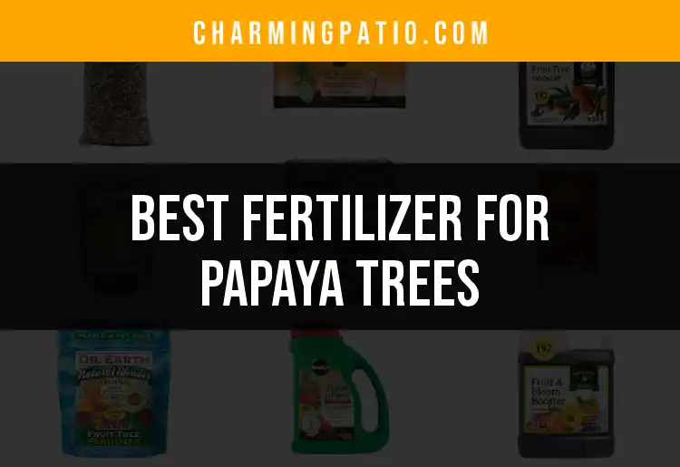 18 Best Fertilizers for Thriving Papaya Trees