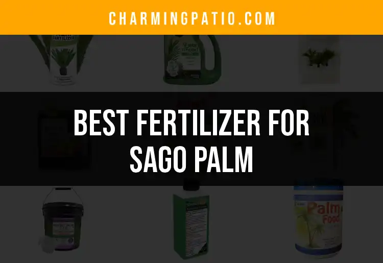 13 Best Fertilizers for Sago Palm: Quick Guide to Growth