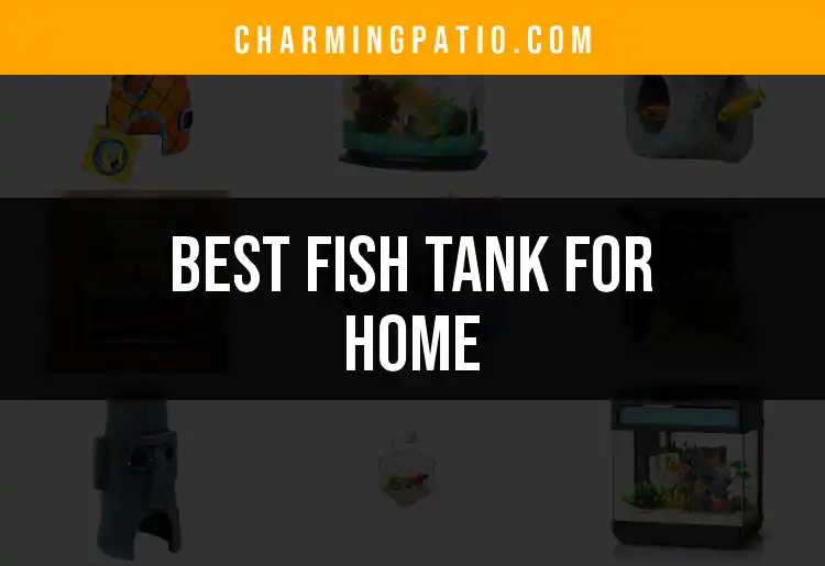 14 Stunning Fish Tanks for Home You Need to See