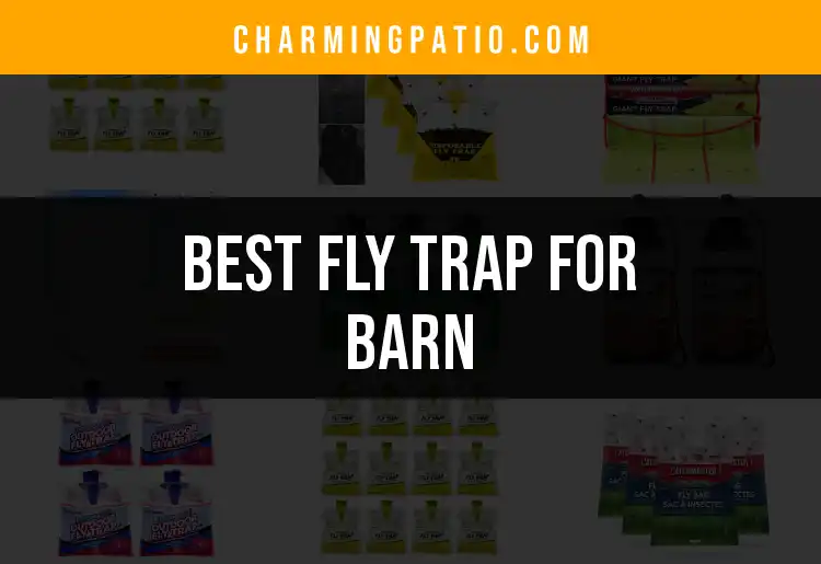 13 Best Fly Traps for Barns to Keep Your Space Clean