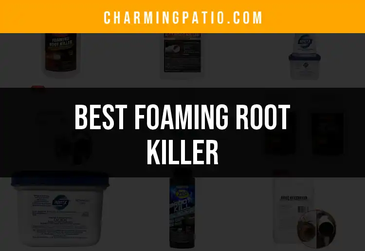 13 Best Foaming Root Killers to Protect Your Yard featured