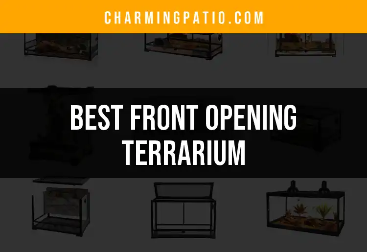 12 Must-Have Front Opening Terrariums for Every Enthusiast