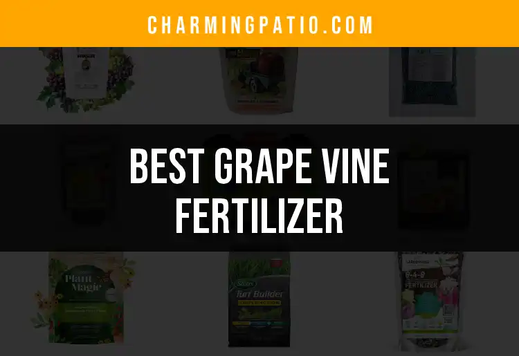 18 Best Grape Vine Fertilizer Picks for Lush Growth