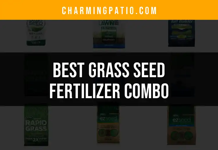 16 Best Grass Seed Fertilizer Combos for Lush Lawns featured