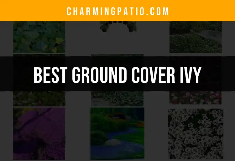 Top 10 Ground Cover Ivy Options for Lush Landscaping