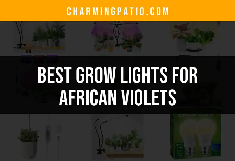 13 Best Grow Lights For African Violets To Brighten Your Space