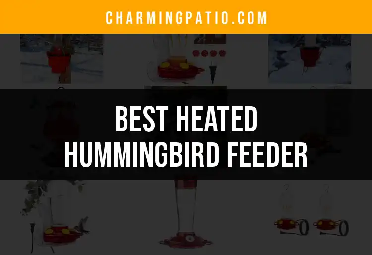 10 Best Heated Hummingbird Feeders for Winter Bliss