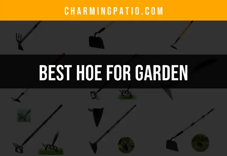 12 Essential Hoes for Your Garden Toolkit