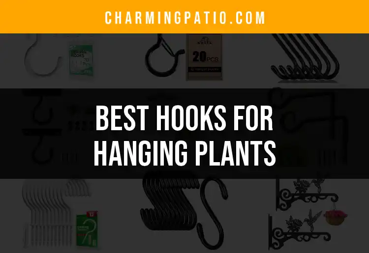 11 Essential Hooks for Hanging Plants That Enhance Your Garden
