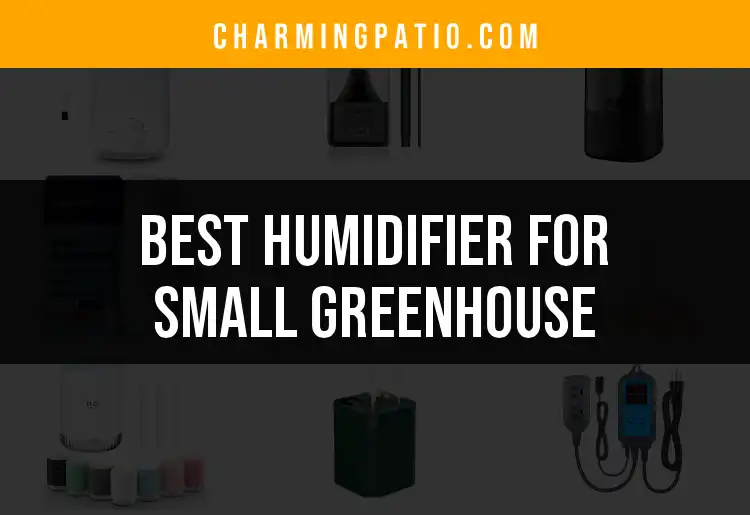 15 Best Humidifiers for Small Greenhouses to Enhance Growth