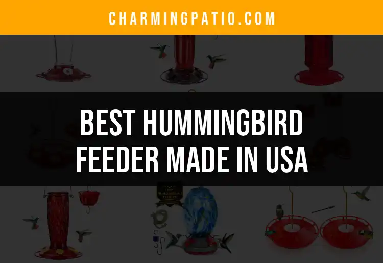 16 Hummingbird Feeders Made in USA Worth Your Attention