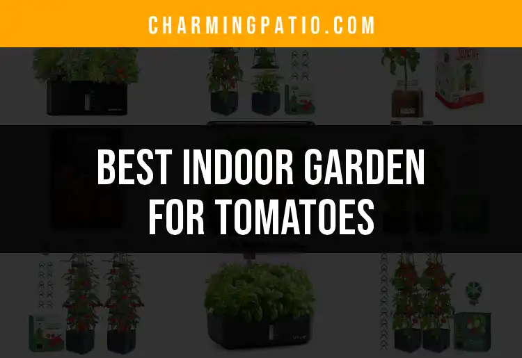 11 Indoor Garden Picks for Thriving Tomato Growth