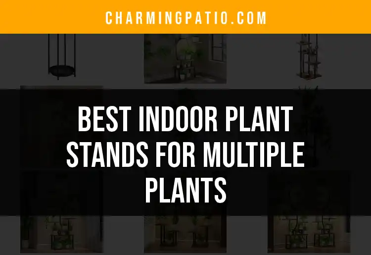 15 Best Indoor Plant Stands for Multiple Plants