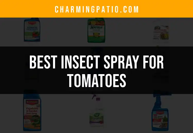17 Best Insect Sprays for Tomatoes: Quick Choices Revealed