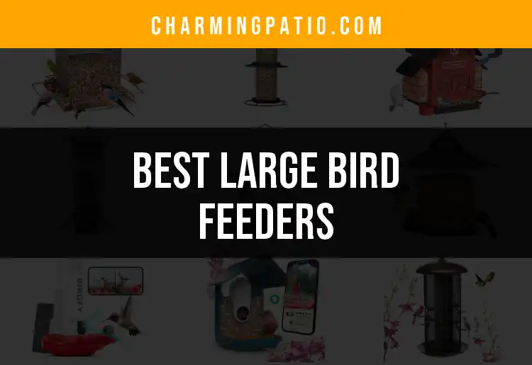 18 Large Bird Feeders That Will Attract Every Feathered Friend