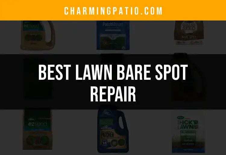 13 Best Lawn Bare Spot Repair Methods You Need to Know