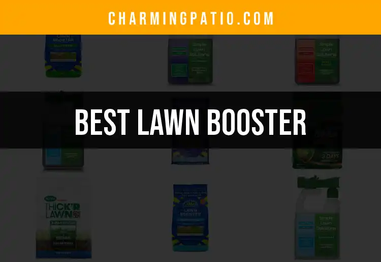 16 Best Lawn Boosters for a Lush Green Paradise