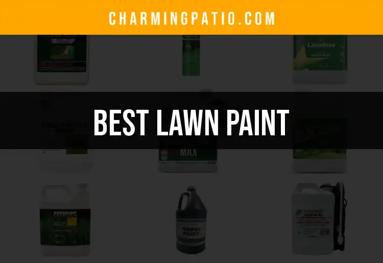 11 Best Lawn Paints for a Lush Green Makeover