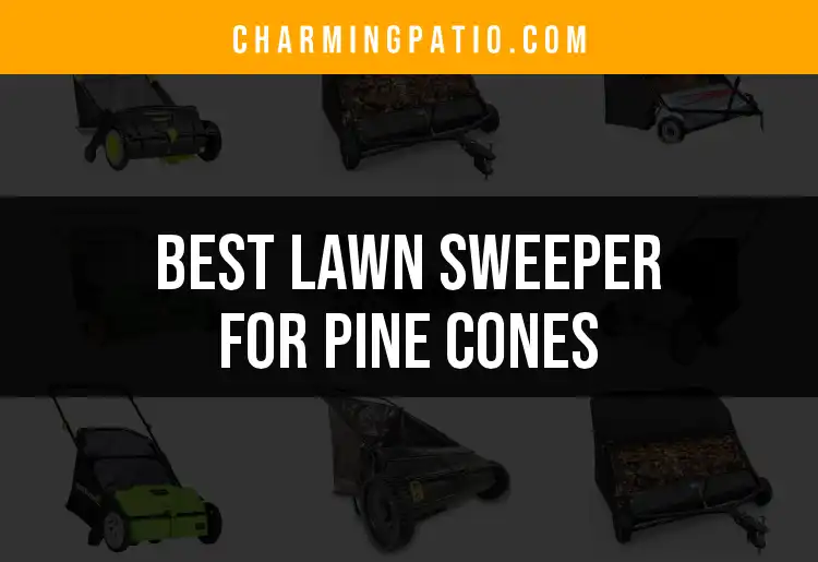15 Best Lawn Sweepers for Pine Cones to Simplify Cleanup featured