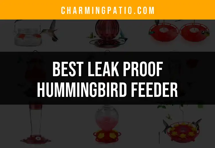 15 Leak Proof Hummingbird Feeders for Worry-Free Watching