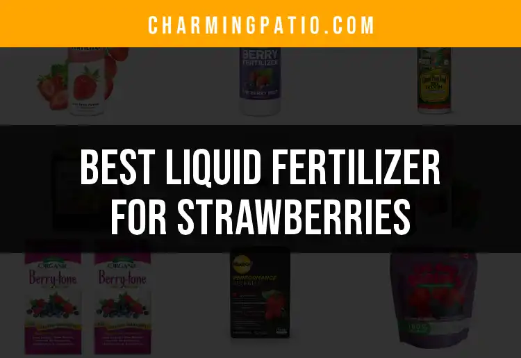 14 Best Liquid Fertilizers for Lush Strawberries