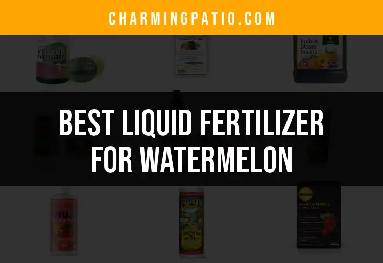 17 Exceptional Liquid Fertilizers for Watermelon Growth