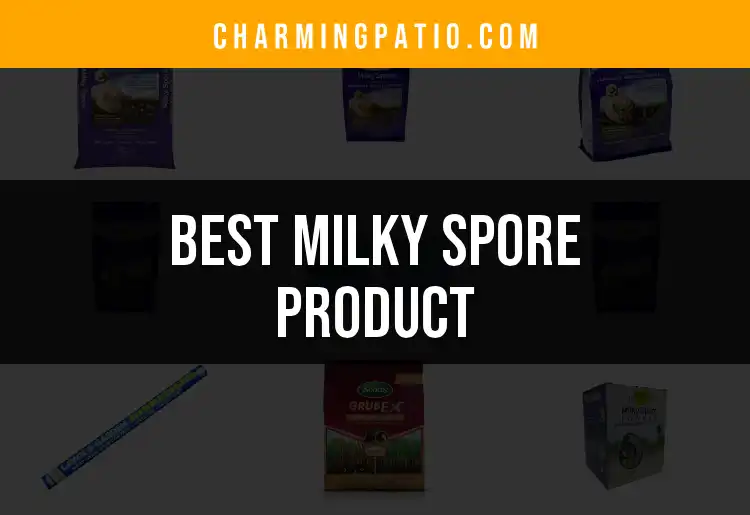 featured