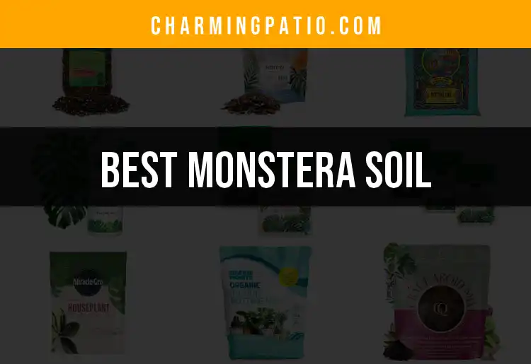 The 14 Best Soils for Thriving Monstera Plants