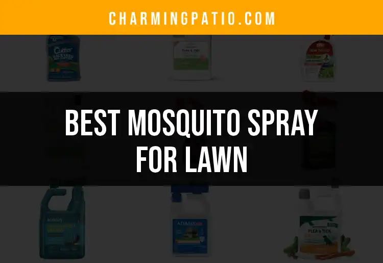 19 Best Mosquito Sprays for Your Lawn this Season
