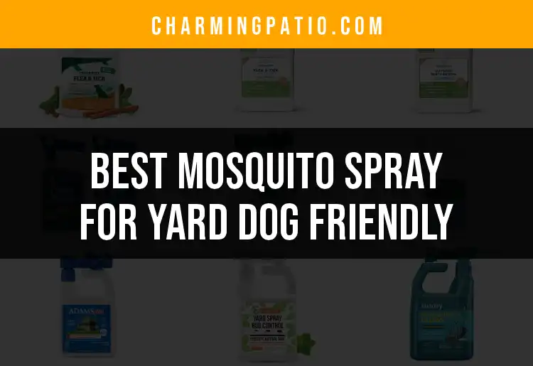 18 Best Dog-Friendly Mosquito Sprays for Your Yard