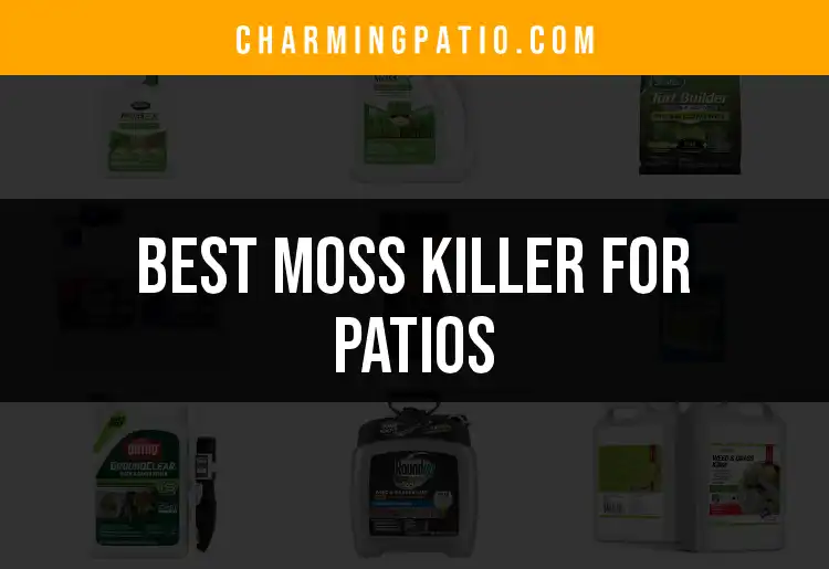18 Best Moss Killers for Patios: Quick Guide to a Cleaner Space
