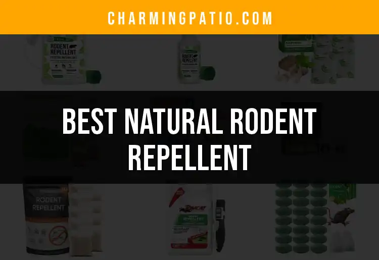 18 Natural Rodent Repellent Options for a Pest-Free Yard