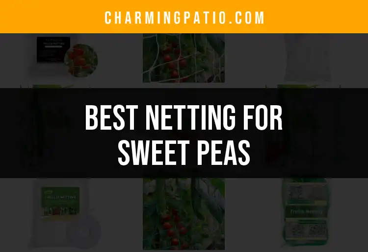 11 Best Netting Options for Sweet Peas: Our Top Picks