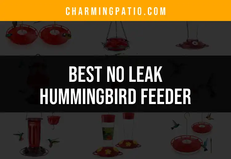 15 No Leak Hummingbird Feeders You’ll Love
