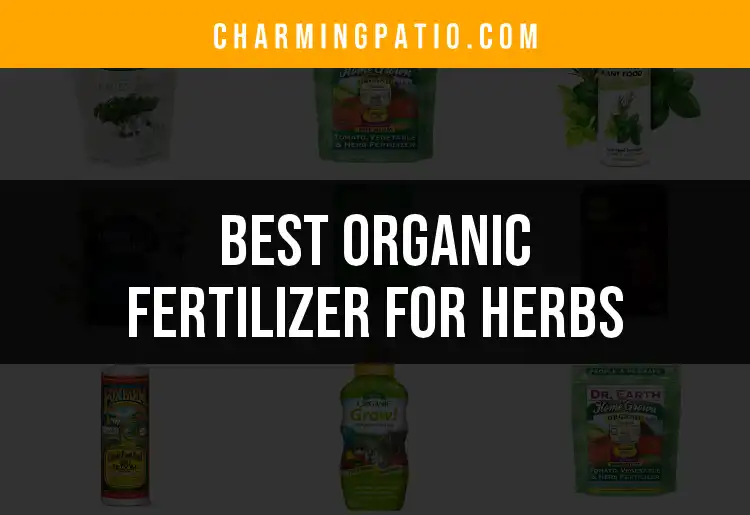 15 Best Organic Fertilizers for Thriving Herbs