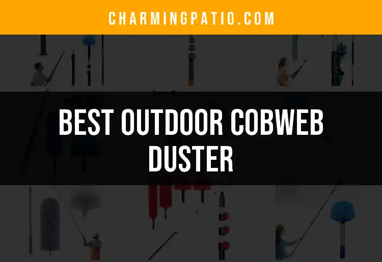 12 Essential Outdoor Cobweb Dusters for Effortless Cleanup