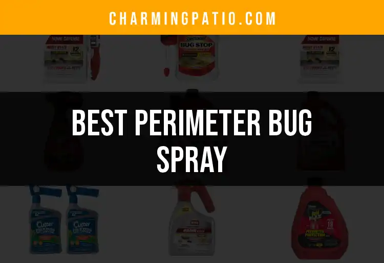 16 Outstanding Perimeter Bug Sprays for a Pest-Free Yard featured