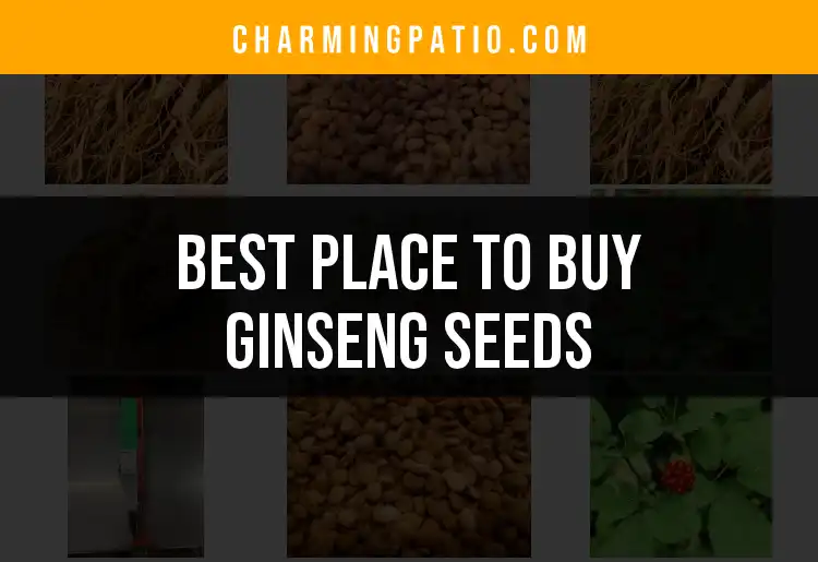15 Best Places to Buy Ginseng Seeds for Your Garden