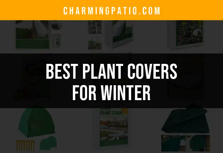 13 Essential Plant Covers for Winter Protection