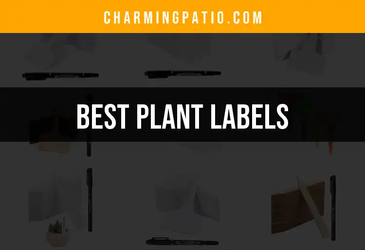 Top 10 Plant Labels to Enhance Your Garden's Charm