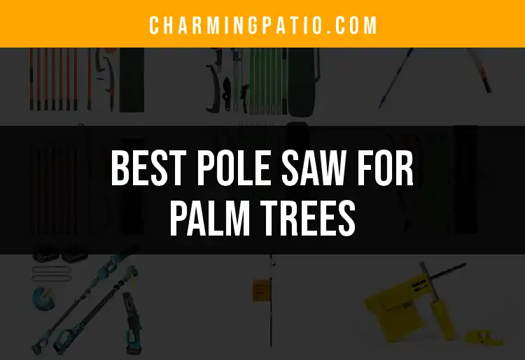 16 Essential Pole Saws for Pruning Palm Trees Efficiently