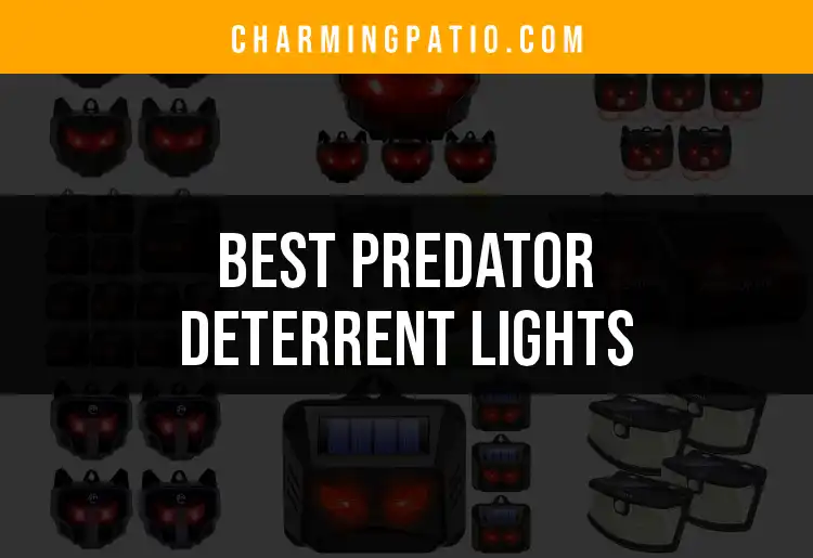 12 Predator Deterrent Lights for Peaceful Nights